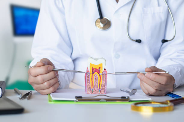 Best Root Canal Emergency Dentist  in Boyce, LA